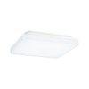 Plafonnier Salle de Bain Cela 15,5W Blanc dépoli Paulmann 79839