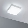 Plafonnier Salle de Bain Cela 15,5W Blanc dépoli Paulmann 79839
