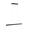 Suspension Aptare 2x18 & 18W Noir Paulmann 79888