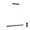 Suspension Aptare 2x18 & 18W Noir Paulmann 79888