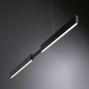 Suspension Aptare 2x18 & 18W Noir Paulmann 79888