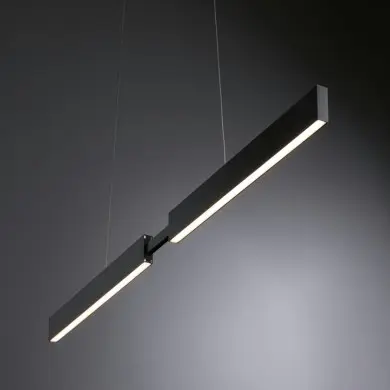 Suspension Aptare 2x18 & 18W Noir Paulmann 79888