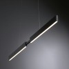 Suspension Aptare 2x18 & 18W Noir Paulmann 79888