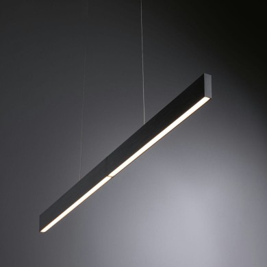 Suspension Aptare 2x18 & 18W Noir Paulmann 79888