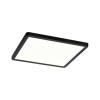 Plafonnier Salle de Bain Areo 16W Noir Paulmann 79967