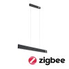 Suspension Jagun Tunable 21W Anthracite Paulmann 79995