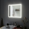 Miroir Salle de Bain Mirra 22W Chrome, Blanc Paulmann 93013