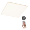 Plafonnier Salle de Bain Veluna 21W Satiné Paulmann 93062