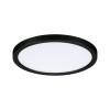 Plafonnier Salle de Bain Areo 13W Noir H Paulmann 93099