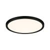 Plafonnier Salle de Bain Areo 16W Noir D23 Paulmann 93102