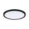 Plafonnier Salle de Bain Areo 16W Noir D23 Paulmann 93102