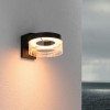 Applique Extérieur Capera 12,5W Anthracite Paulmann 93113