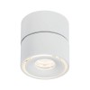 Plafonnier Spircle 8W Blanc dépoli Paulmann 93373