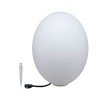 Objet lumineux Extérieur Plug 6,5W Blanc D40 Paulmann 94178