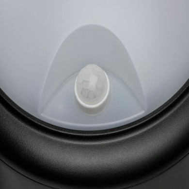 Applique Extérieur 0 15W Gris 1500LM Paulmann 94187