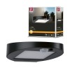 Applique Extérieur Solar Ryse 1,2W Anthracite Paulmann 94246