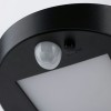 Borne Potelet Extérieur Solar Ryse 1,2W Anthracite Paulmann 94249