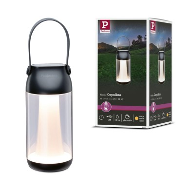 Lampe rechargeable Extérieur Cupulino 1,3W Transparent, Anthracite Paulmann 94267
