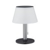 Lampe Extérieur Solar Lillesol 0,8W Acier inoxydable Paulmann 94309