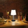 Lampe Extérieur Solar Lillesol 0,8W Acier inoxydable Paulmann 94309