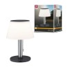 Lampe Extérieur Solar Lillesol 0,8W Acier inoxydable Paulmann 94309