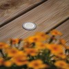 Spot Extérieur House 2W Acier inoxydable brossé Rond 3000K cercle Paulmann 94363