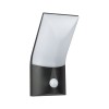 Applique Extérieur Adya 10W Anthracite Paulmann 94402