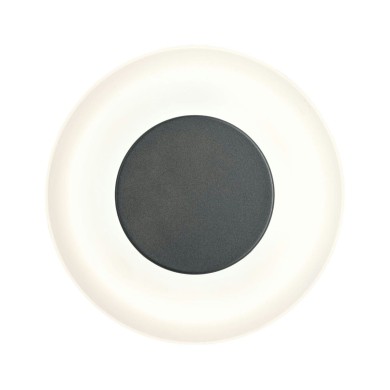 Applique Extérieur Circea 4W Anthracite Paulmann 94409