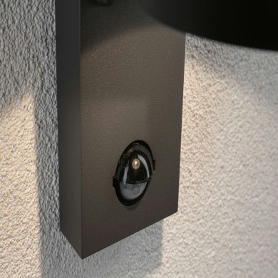 Applique Extérieur Capea 6W Anthracite P15,3 3000K Paulmann 94453