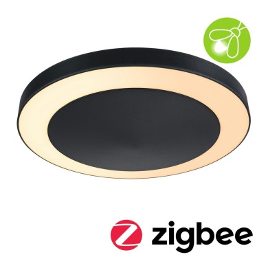 Plafonnier Extérieur Circula 14W Anthracite 2200 - 3000K Paulmann 94525