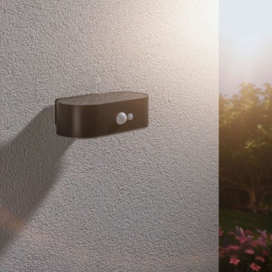 Applique Extérieur Solar Adya 2,5W Noir Paulmann 94571