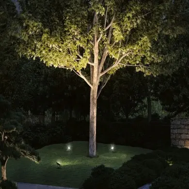 Projecteur Extérieur Plug 15,5W Noir Paulmann 94575