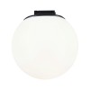 Spot ULine Ball 8W Noir Paulmann 94616