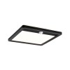 Plafonnier Extérieur Lamina 14W Noir H25 Paulmann 94709