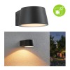 Applique Extérieur Capea 6W Anthracite 2200K Paulmann 94713
