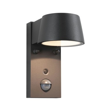 Applique Extérieur Capea 6W Anthracite 2200 - 3000K Paulmann 94714