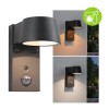 Applique Extérieur Capea 6W Anthracite 2200 - 3000K Paulmann 94714