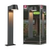 Borne Potelet Extérieur Capea 6W Anthracite 2200K Paulmann 94715