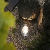 Spot Extérieur Vanea 3,5W Alu Paulmann 94748