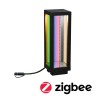 Lampe Extérieur Plug 2W Anthracite Paulmann 94753