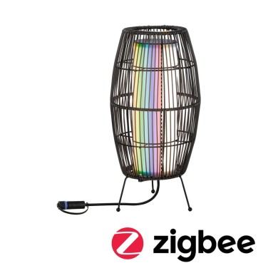 Lampe Extérieur Plug 3,2W Noir Paulmann 94754