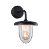 Applique Extérieur Vintario 20W MAX E27 Anthracite Paulmann 94757