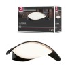 Applique Extérieur Mesana 12W Anthracite Paulmann 94765
