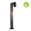 Borne Potelet Extérieur Kimu 7,8W Anthracite Paulmann 94823