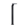 Borne Potelet Extérieur Zenera 10W Anthracite 3000K Paulmann 94828