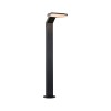 Borne Potelet Extérieur Zenera 10W Anthracite 2200 - 3000K Paulmann 94829