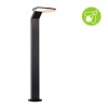 Borne Potelet Extérieur Zenera 10W Anthracite 2200 - 3000K Paulmann 94829