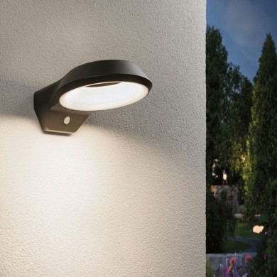 Applique Extérieur Anela 12,5W Anthracite Paulmann 94836