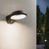 Applique Extérieur Anela 12,5W Anthracite Paulmann 94836