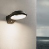 Applique Extérieur Anela 12,5W Anthracite Paulmann 94836